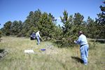 CQC Field Day Battleground Site by Roger J. Wendell - 06-29-2014