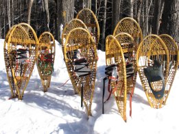 Snowshoes