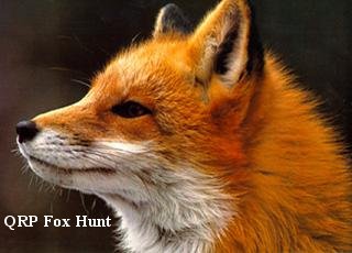 QRP Fox Hunt Logo
